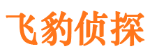 九龙坡市调查公司